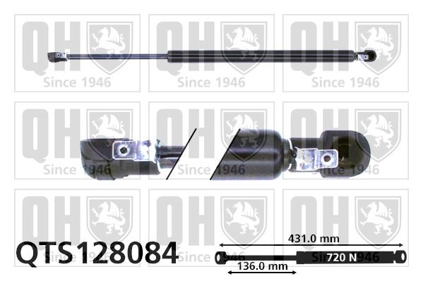 Amortecedor de tampa de porta-malas (de 3ª/5ª porta traseira) 7701366529 Renault (RVI)